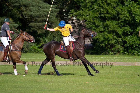 Summer Night's Polo