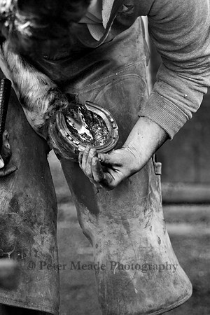 IMG_0004_BW