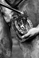 IMG_0017_BW
