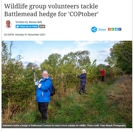 Maidenhead_Advertiser_Nov_2021
