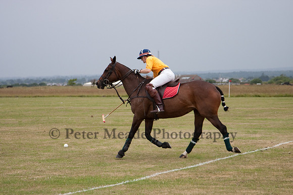 Royal Artillery Polo