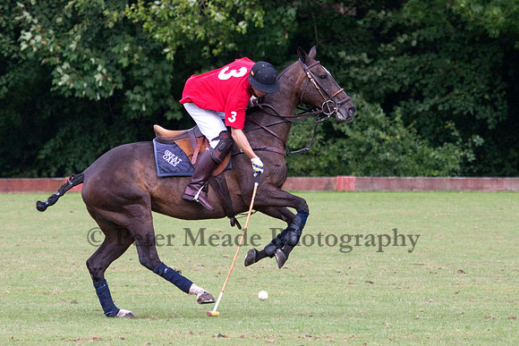 The Hogspear Captains and Subalterns Tournament