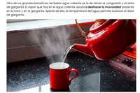 Bezzia_November_2024