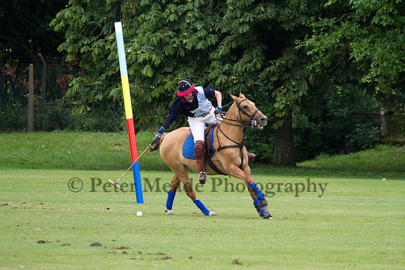The Hogspear Captains and Subalterns Tournament