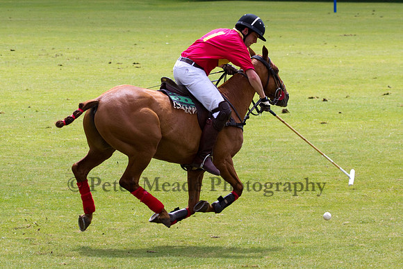 The Hogspear Captains and Subalterns Tournament