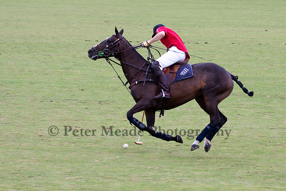 The Hogspear Captains and Subalterns Tournament