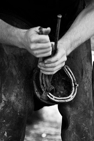 IMG_0642_BW