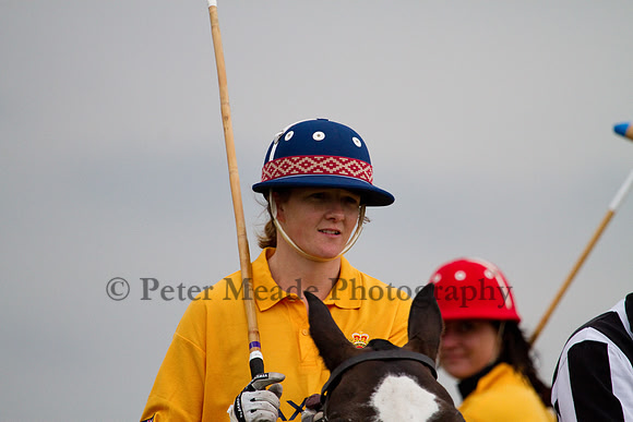 Royal Artillery Polo