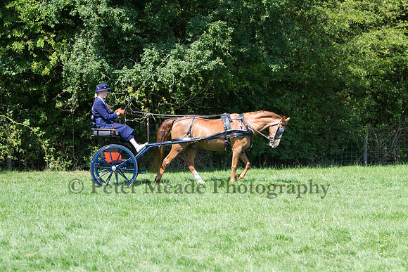 Warfield Driving show 2011