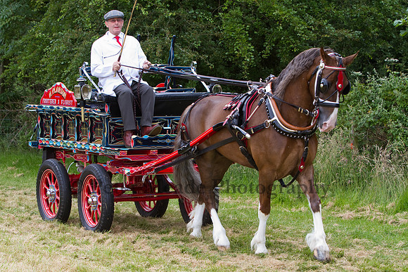 Warfield Driving Show 2012