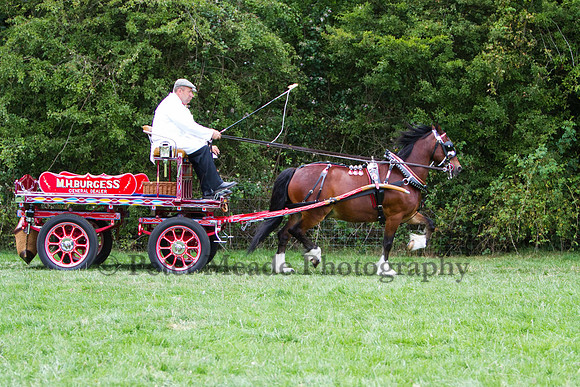 Warfield Driving show 2011