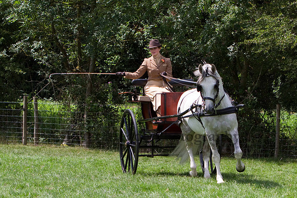 Warfield Driving show 2011