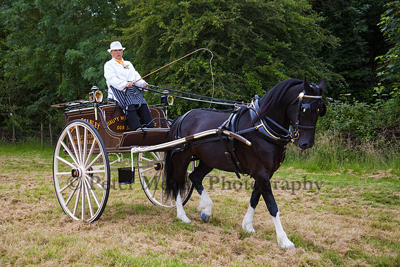 Warfield Driving Show 2012