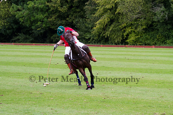 AGC Polo Cup 2011