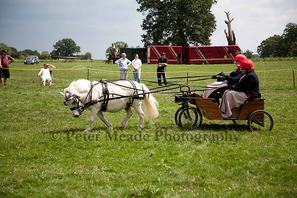 Warfield Driving show 2011
