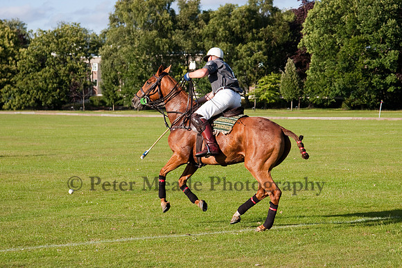 Summer Night's Polo