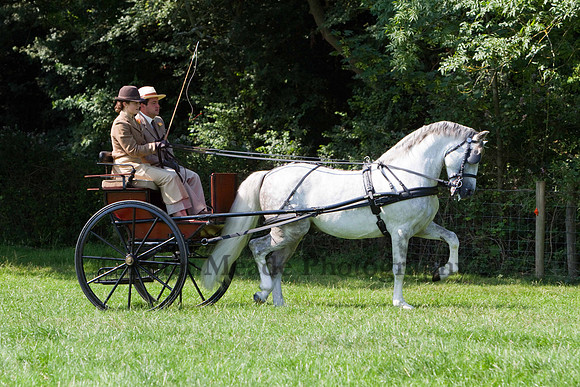 Warfield Driving show 2011