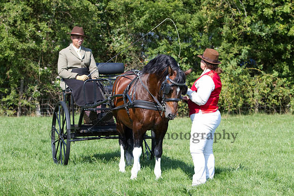 Warfield Driving show 2011