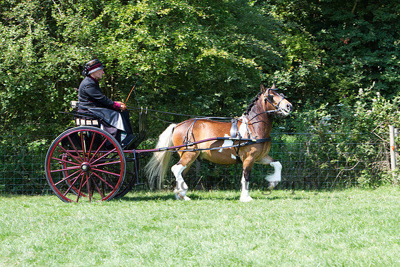 Warfield Driving show 2011