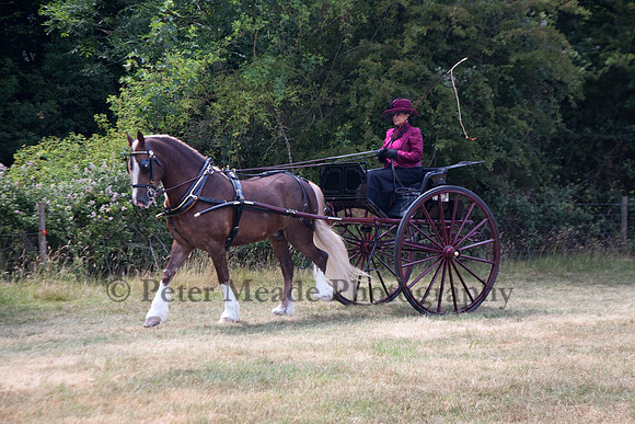 Warfield Driving Show 2010