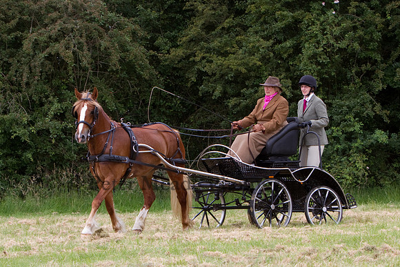 Warfield Driving Show 2012