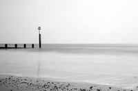 3M6A1564_2_BW