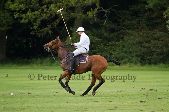 Heritage Polo Cup 2012
