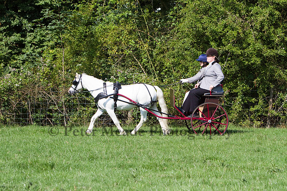 Warfield Driving show 2011