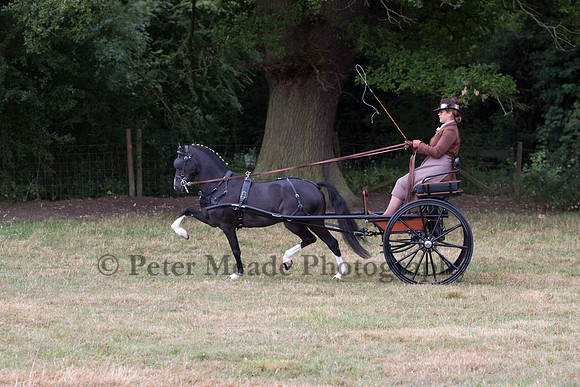Warfield Driving show 2009