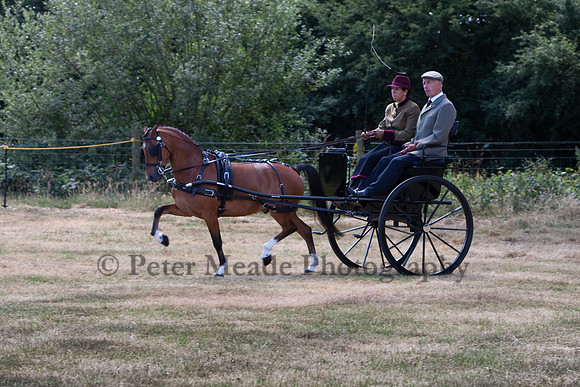 Warfield Driving Show 2010