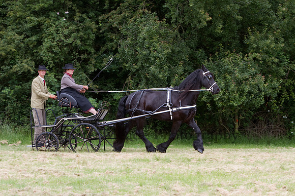 Warfield Driving Show 2012