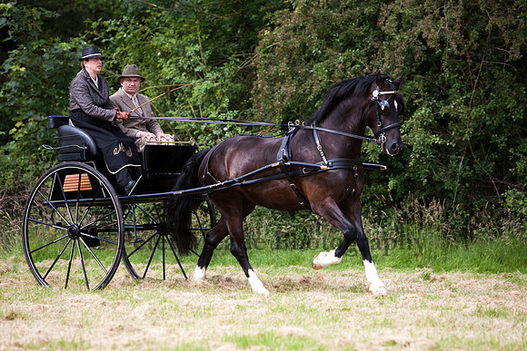 Warfield Driving Show 2012