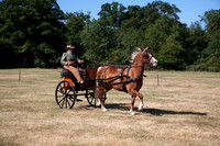 Warfield Driving Show 2010