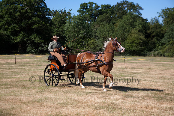 Warfield Driving Show 2010