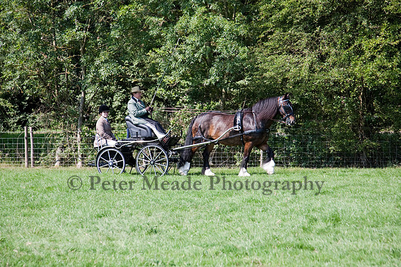 Warfield Driving show 2011