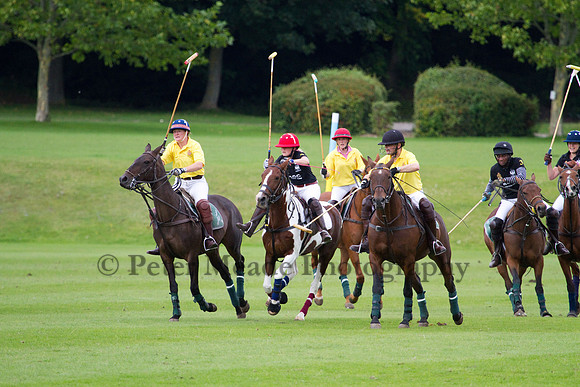 AGC Polo Cup 2011