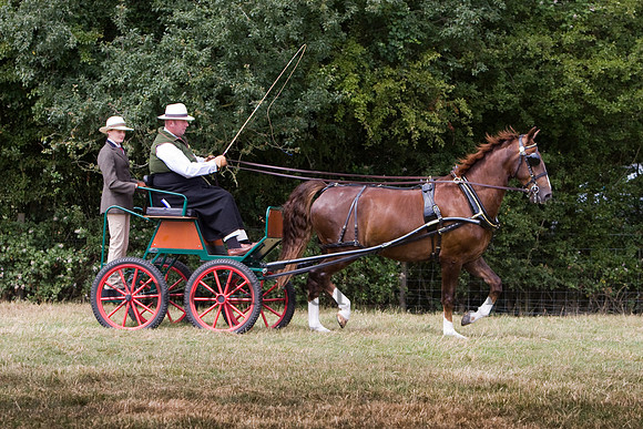 Warfield Driving show 2009