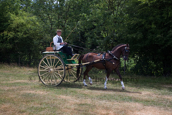 Warfield Driving Show 2010