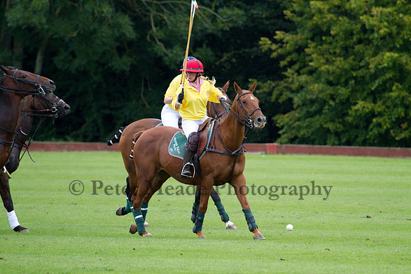 AGC Polo Cup 2011