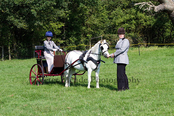 Warfield Driving show 2011
