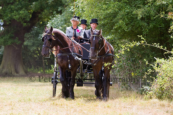 Warfield Driving show 2009