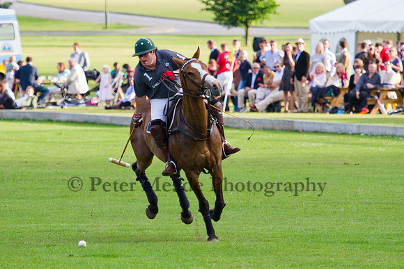 Summer Night's Polo