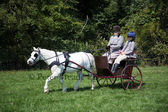 Warfield Driving show 2011