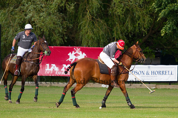 Summer Night's Polo