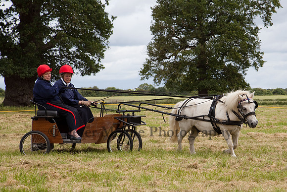 Warfield Driving Show 2012