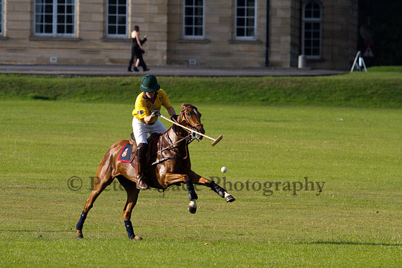 Summer Night's Polo