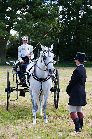 Warfield Driving Show 2012