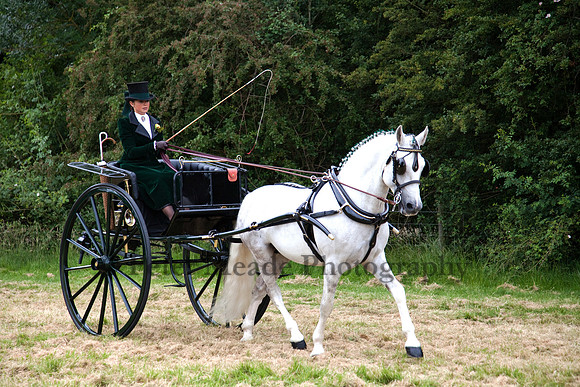Warfield Driving Show 2012
