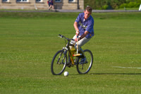 Summer Night's Polo