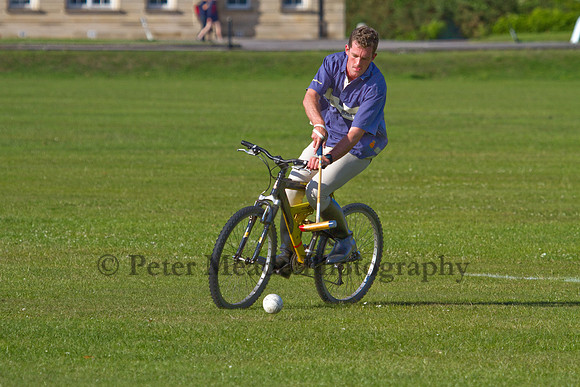 Summer Night's Polo